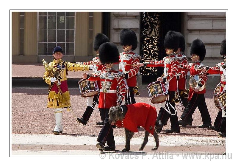 Trooping the Colour 105.jpg